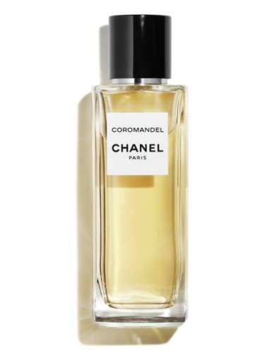 coromandel chanel hombre